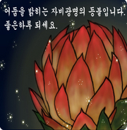 ں񱤸ǵ